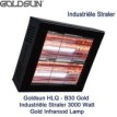Goldsun HLQ - B30 Gold Industriële Straler 3000 Watt|Luchtreinigeronline
