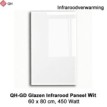 QH-GD glazen infraroodpaneel wit 450 Watt, 60 x 80 cm|Luchtreinigeronline